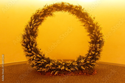 A big flower ring of mimosa