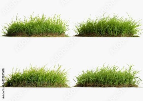 A set of pictures Lush Green Grass Patch Isolated on White Background in Natural Lighting