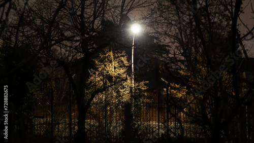 Eclairage d'un haut lampadaire de lumière branche, à travers une multitude de branches d'arbres sans feuilles, nocturne total, point d'observation en lumière, repère, guidage, le soir, la nuit, seul photo