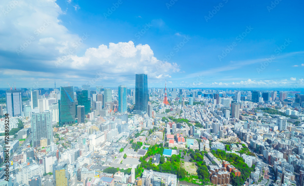 Fototapeta premium 東京風景 2023夏