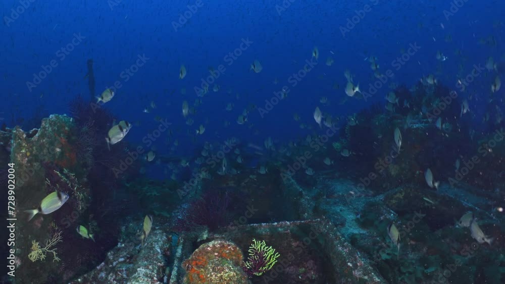 Wreck of the Donator on the Mediterranean Coast of France Wreck of the Donator on the Mediterranean Coast of France