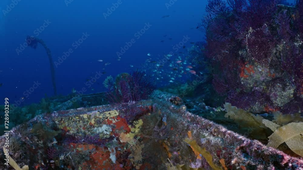 Wreck of the Donator on the Mediterranean Coast of France Wreck of the Donator on the Mediterranean Coast of France