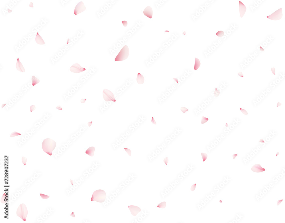 Obraz premium Falling Cherrty Petals