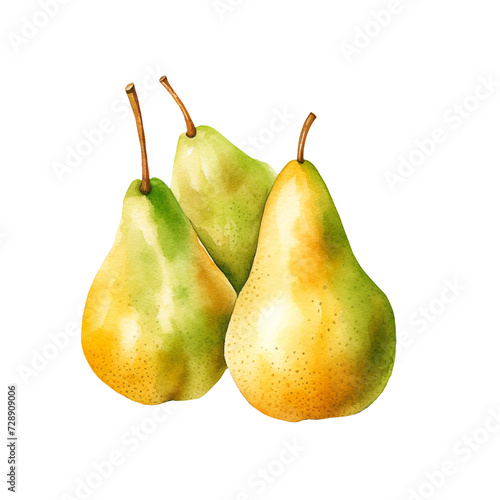 two green pears  watercolor style