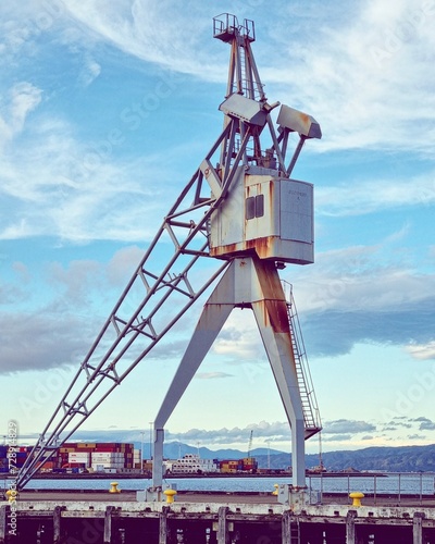 Crane standing upright