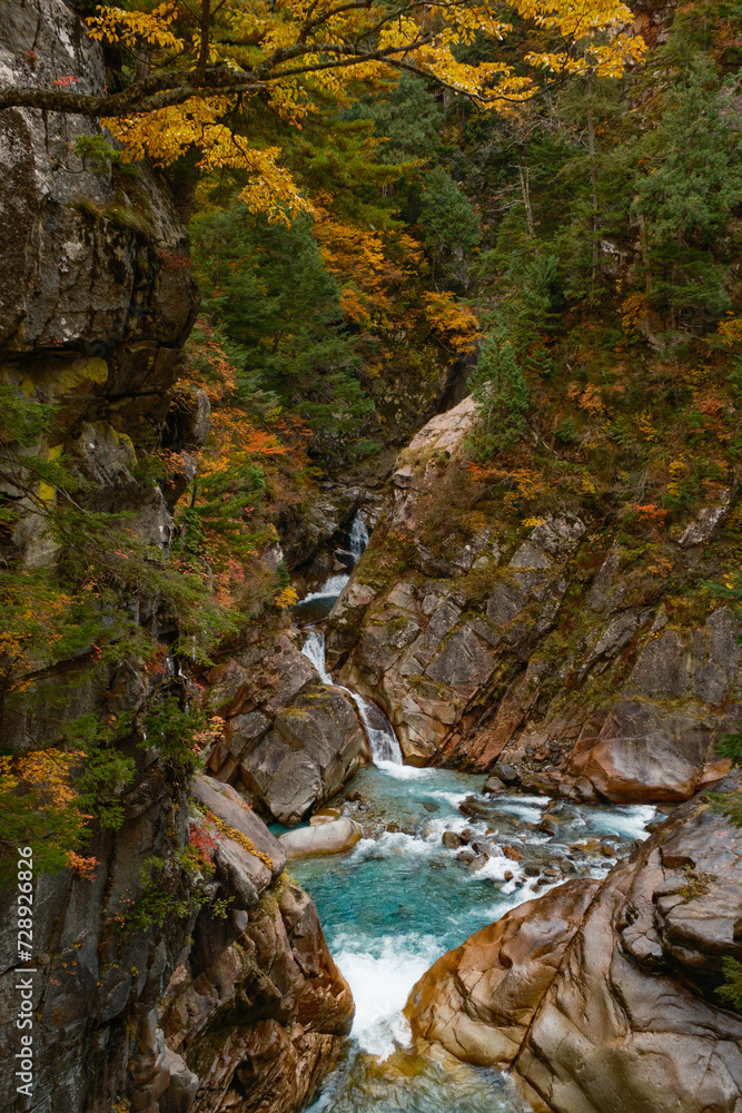 秋の峡谷 秋の峡谷