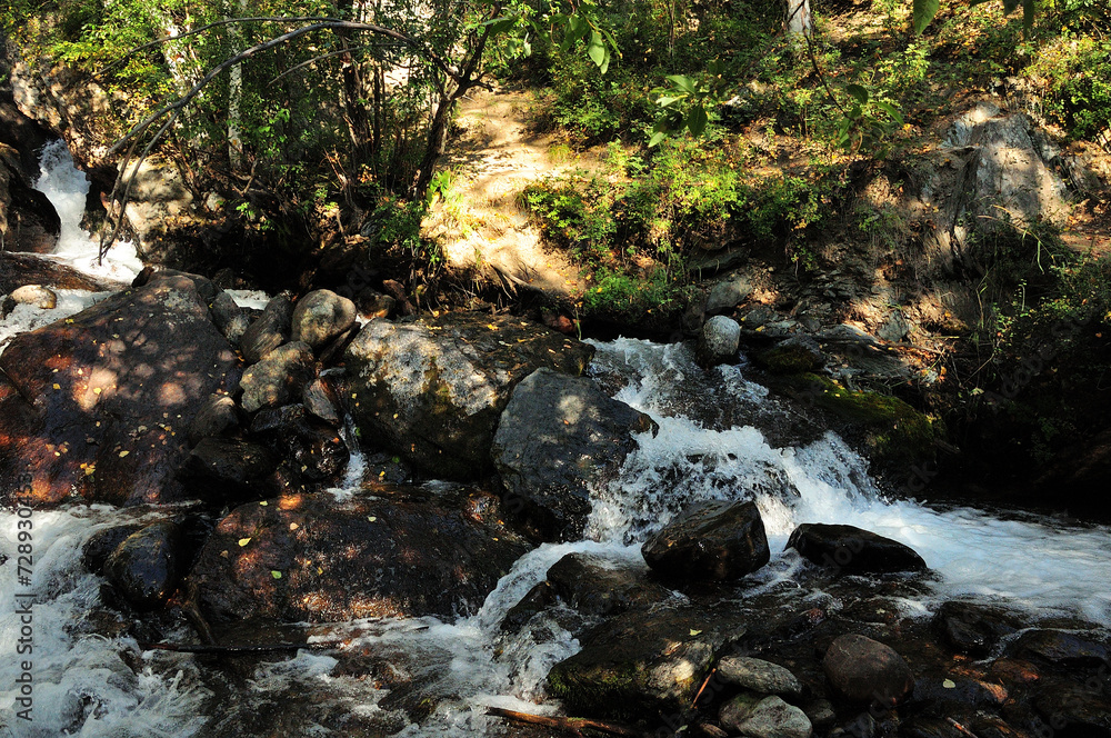 A stormy stream of a mountain stream in the shadow of the setting sun on an autumn evening.