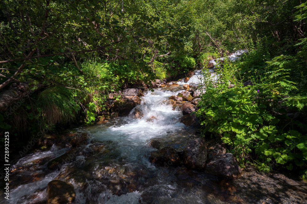 Fototapeta premium The sources of the Alibek River flowing down from the mountain slopes of the North Caucasus on the territory of the Teberdinsky Reserve on a sunny summer day, Dombai, Karachay-Cherkessia, Russia
