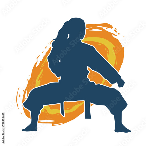 Silhouette of a slim female doing martial art pose. Silhouette of a martial art woman in action pose.
