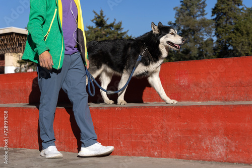 man walking his husky dog on leash in Mexico City park