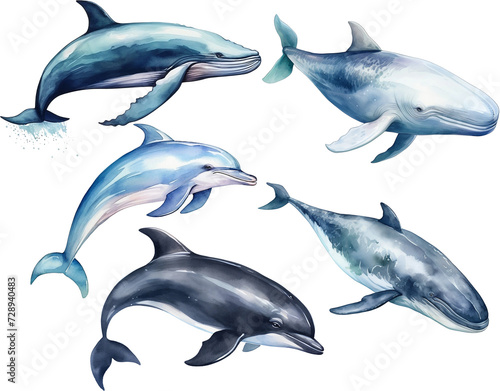 Collection of watercolor whale isolated on white