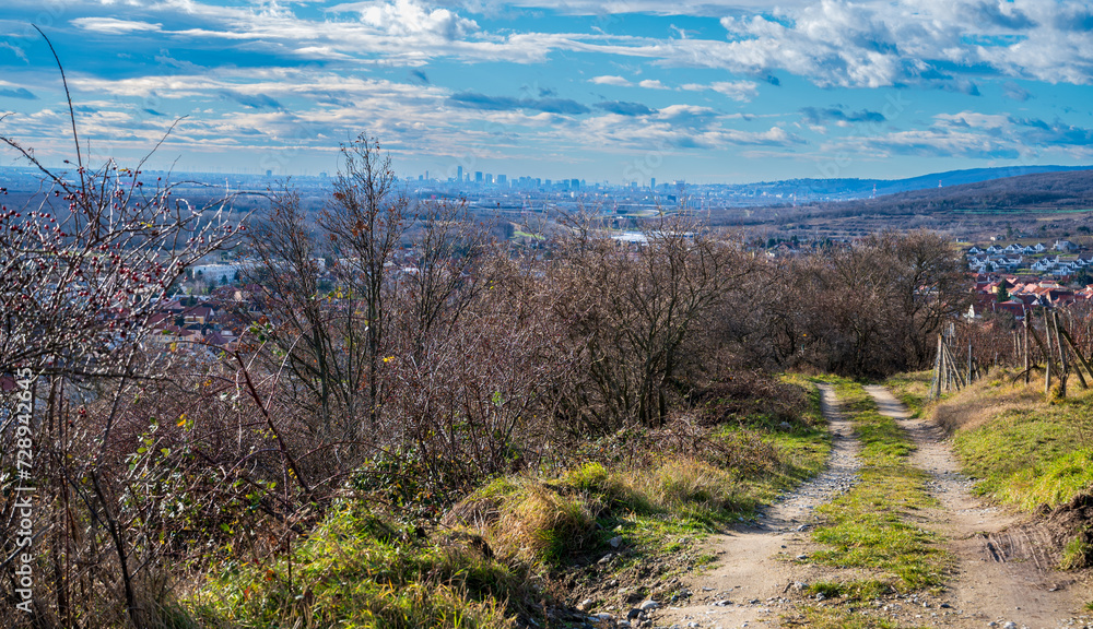 Vineyard road on the hill overlooking the plain with the city on the horizon. Autumn.