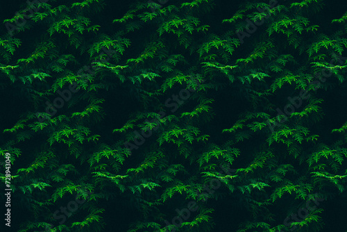 Tropical leaves abstract green leaves natural background dark floral pattern.