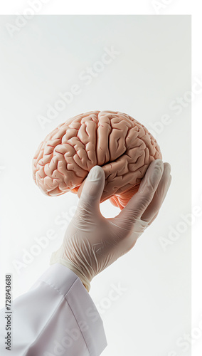 The doctor holds a brain with his hand. He analyzes and studies neurodegenerative diseases. photo