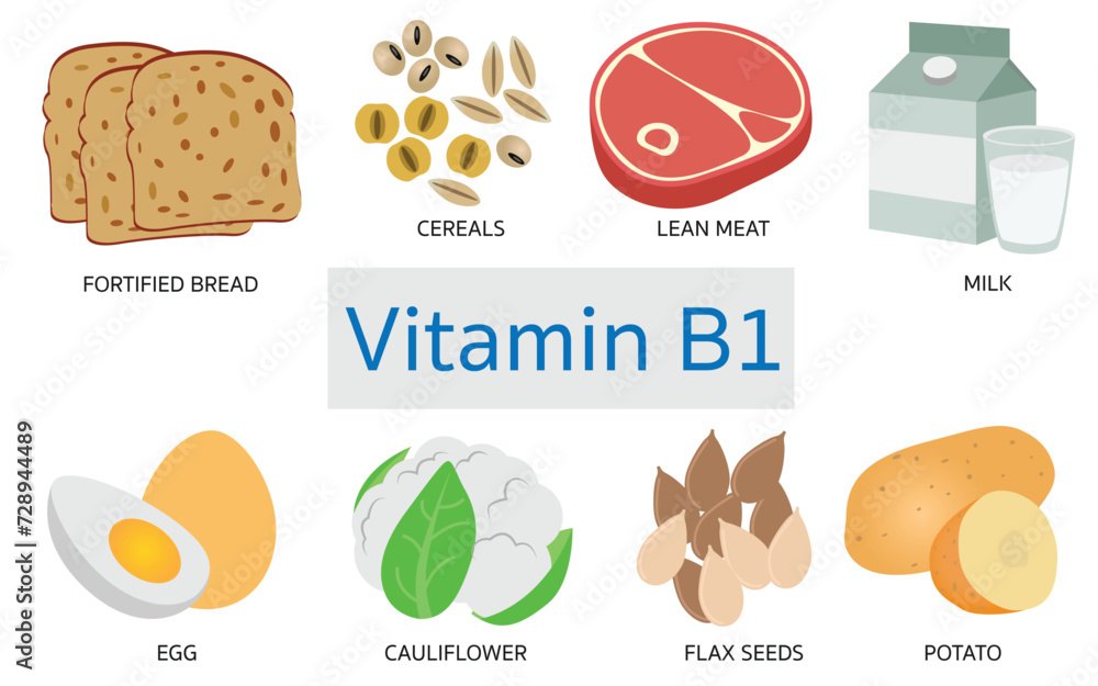 Vitamin B1 food sources on white background.
