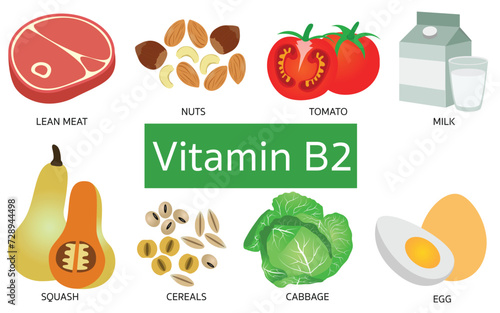 Vitamin B2 food sources on white background.