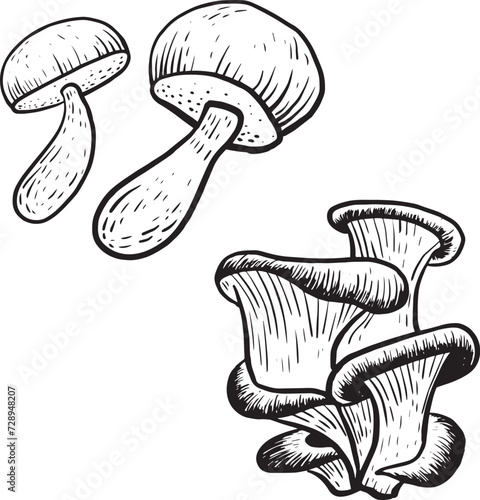 mushroom lineart