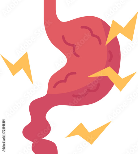 abdominal  icon