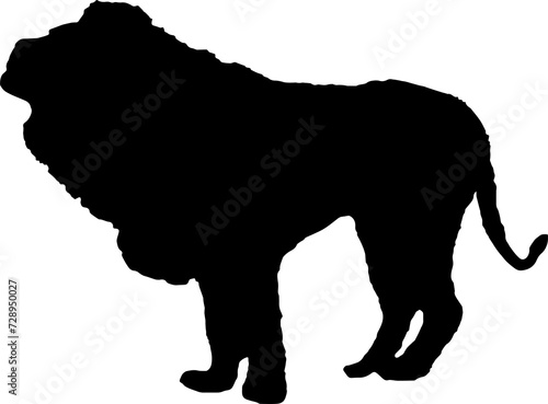 Walking black lion silhouette png concept with beautiful mane and tail isolated illustration transparent