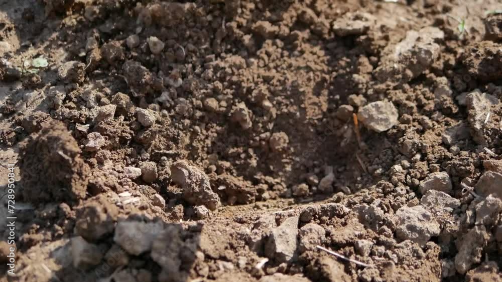 Steel Hoe Dig on Plain Soil, Close Up Steel Hoe Dig on Plain Soil, Close Up