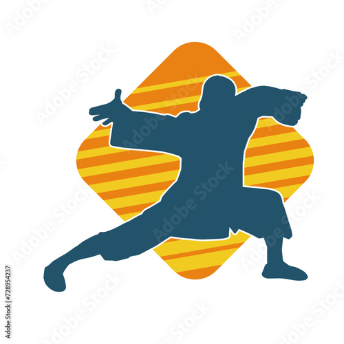 Silhouette of a man in oriental martial art pose. Silhouette of a male in martial art move.