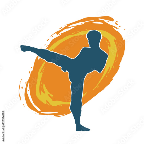 Silhouette of a male doing martial art kick pose. Silhouette of a martial art male doing kicking pose.