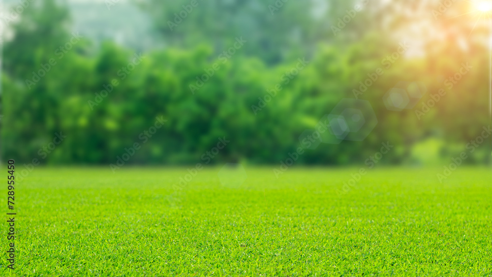 Beautiful blurred background image of spring nature with a neatly trimmed lawn surrounded by trees against a blue sky with clouds on a bright sunny day. garden and green grass, the sun shines.