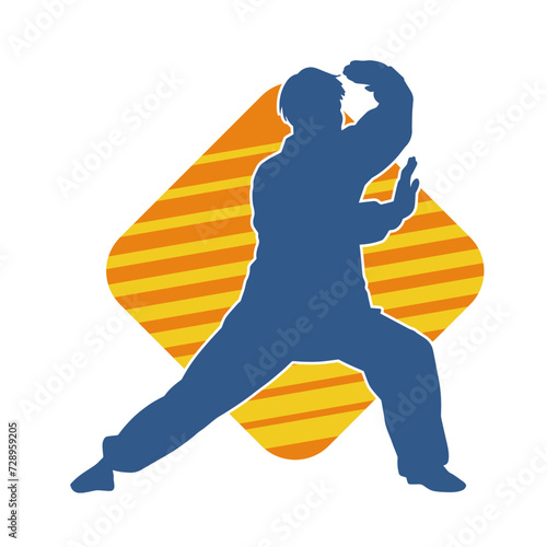 Silhouette of a man in oriental martial art pose. Silhouette of a male in martial art move.