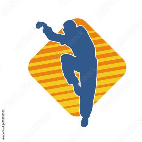 Silhouette of a man in oriental martial art pose. Silhouette of a male in martial art move.