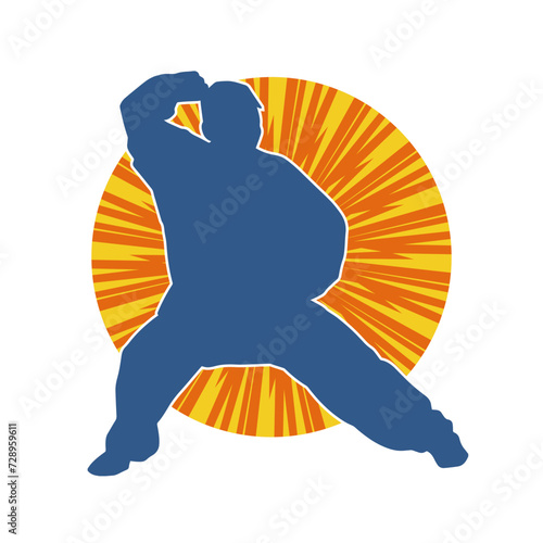 Silhouette of a man in oriental martial art pose. Silhouette of a male in martial art move.
