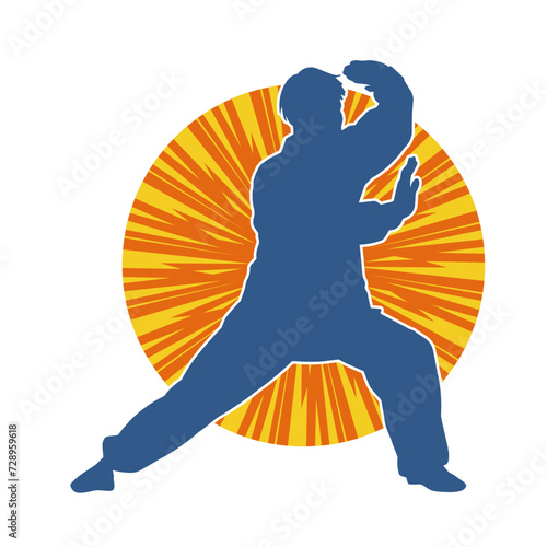 Silhouette of a man in oriental martial art pose. Silhouette of a male in martial art move.
