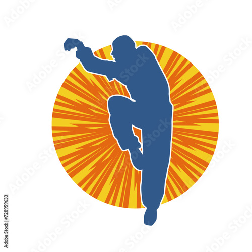 Silhouette of a man in oriental martial art pose. Silhouette of a male in martial art move.
