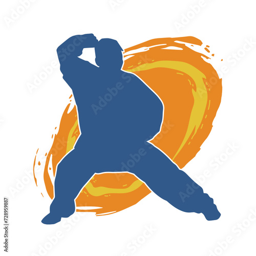 Silhouette of a man in oriental martial art pose. Silhouette of a male in martial art move.