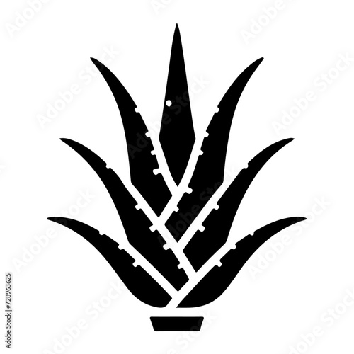 Aloe Vera plant icon vector silhouette, white background
