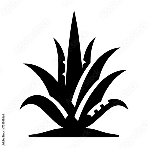Aloe Vera plant icon vector silhouette, white background