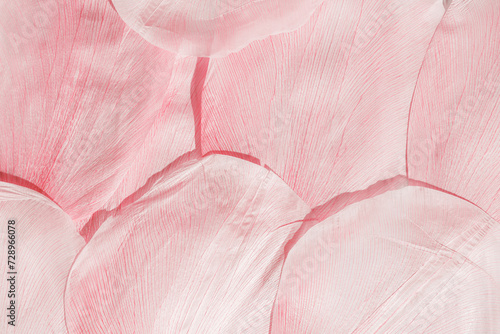 Nature abstract of flower petals, leaves with natural texture as natural background or backdrop. Macro texture, beige pink pastel colored aesthetic photo with veins of petals, botanical design.
