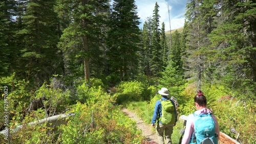 Hikers walking into an overgrown pine tree forest during the day, static photo