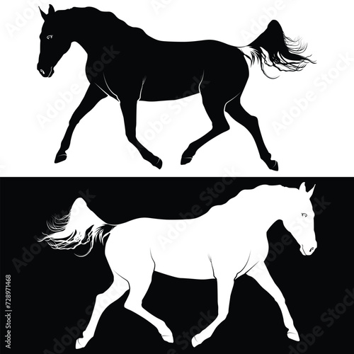 Black silhouette of horse isolated n white and black background  Beautiful horse vector design  rearing up horse  Horses silhouette vector illustration  horse vector