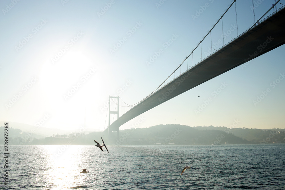 Fototapeta premium Seagull flying over the sea against the backdrop of the mountain and the bridge