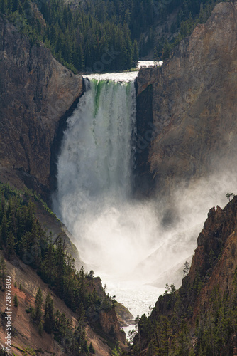 Yellowstone Falls