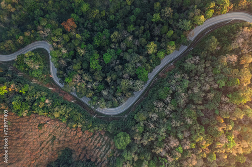 Roads and trees in summer from a drone