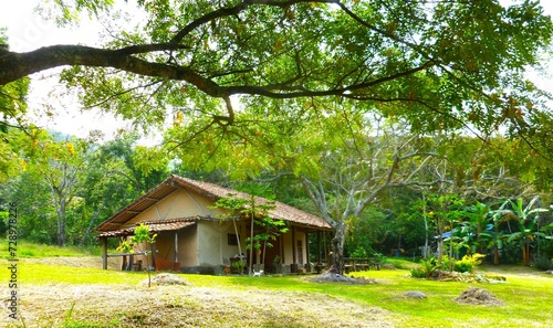 Cabin in the woods, Cabaña en el bosque