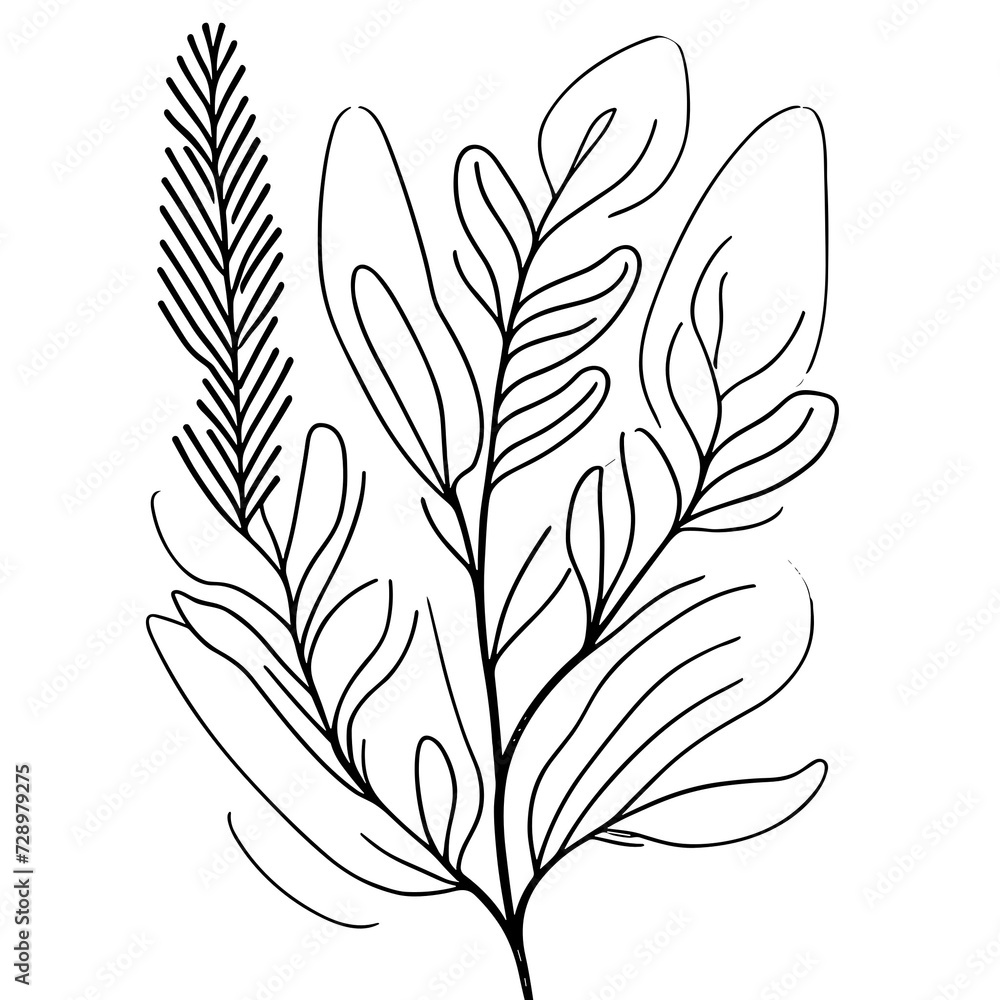 Botanic lineart with transparent background