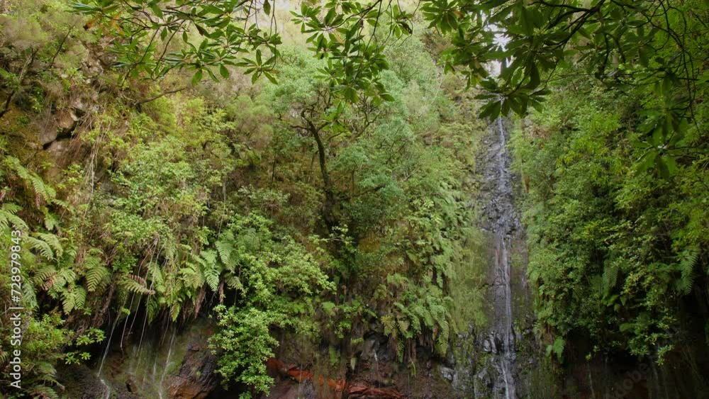 Waterfall madeira 25 Fontes Cascada da Risco exotic tropical jungle Waterfall madeira 25 Fontes Cascada da Risco exotic tropical jungle