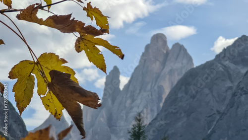 Golden colored leaves in autumn with scenic view of majestic rugged mountain peaks of Sexten Dolomites, Bolzano, South Tyrol, Italy, Europe. Hiking in panoramic Fischleintal near Moos, Italian Alps photo