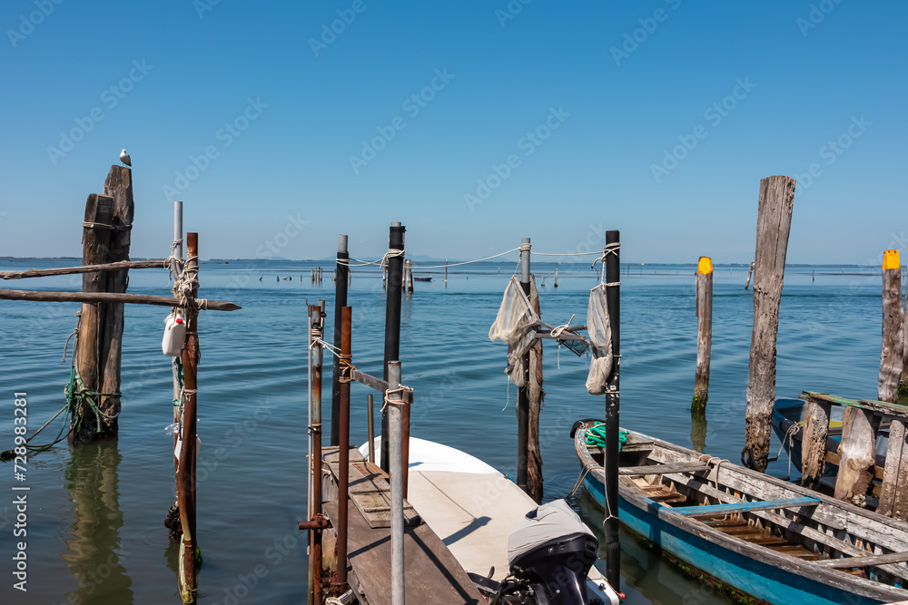 Seagull sitting on wooden pole in city of Venice, Veneto, Northern Italy, Europe. Panoramic view from island of Pellestrina. Bird watching in the Venetian Lagoon, Adriatic Sea in summer. Bird watching