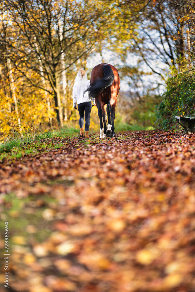 Fototapeta premium Young blonde girl with her horse walking through a colorful autumn forest.