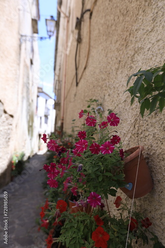 street in the old town © Sabry