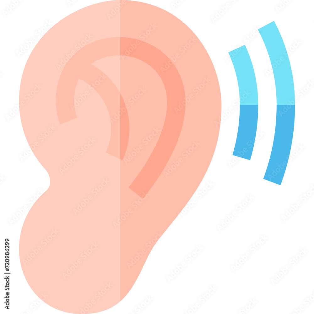 Ear Hearing, Auditory, Auricle, Ear Canal, Tympanic Membrane, Ear Drum