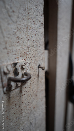 Wallpaper Mural lock on the door Torontodigital.ca